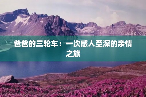 爸爸的三轮车:一次感人至深的亲情之旅 爸爸的三轮车:一次感人至深的亲情之旅