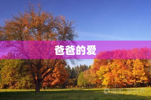 爸爸的爱，陪伴我度过人生的每一刻
