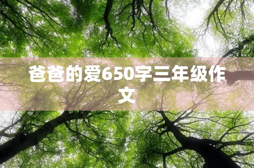 爸爸的爱650字三年级作文