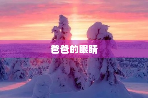 爸爸的眼睛 爸爸的眼睛