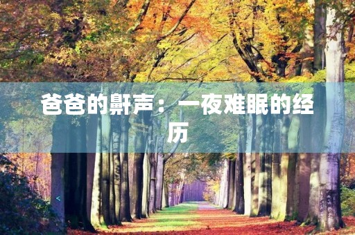 爸爸的鼾声:一夜难眠的经历 爸爸的鼾声:一夜难眠的经历