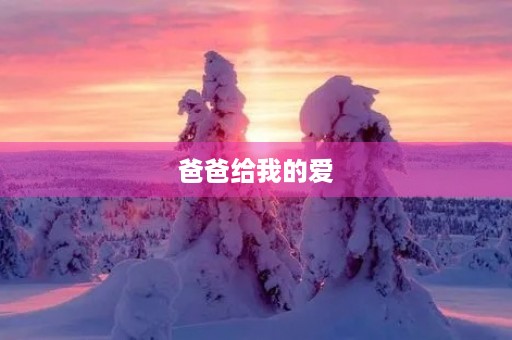 爸爸给我的爱 爸爸给我的爱