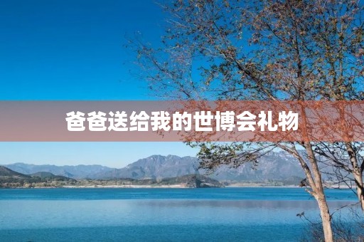 爸爸送给我的世博会礼物 爸爸送给我的世博会礼物
