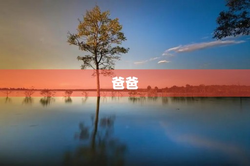 爸爸，你是我人生中最重要的人