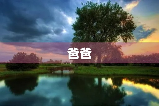 爸爸,你是我心中的英雄