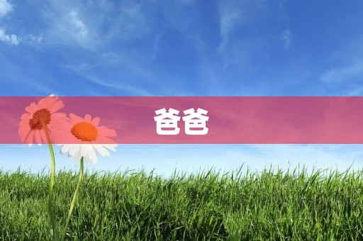 爸爸,我爱你! 爸爸,我爱你!