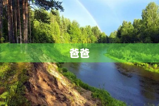 爸爸,我爱你 爸爸,我爱你