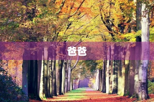 爸爸,请不要再打鸟了 爸爸,请不要再打鸟了