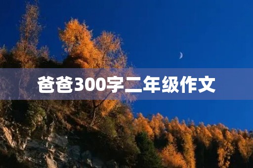 爸爸300字二年级作文
