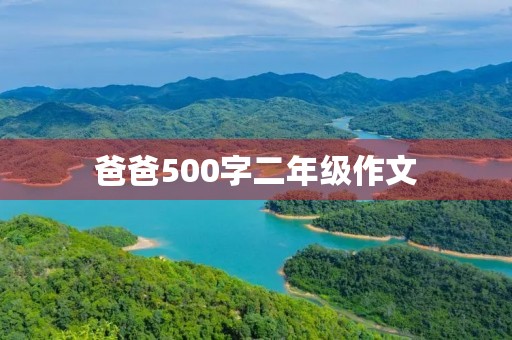 爸爸500字二年级作文