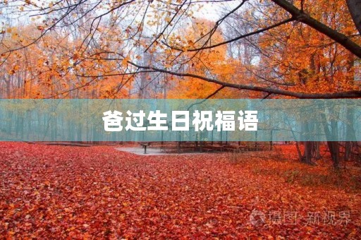 爸过生日祝福语,祝爸爸生日最朴实的话