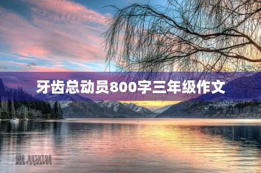 牙齿总动员800字三年级作文 牙齿总动员800字三年级作文