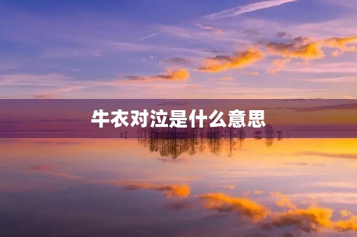牛衣对泣是什么意思 牛衣对泣是什么意思