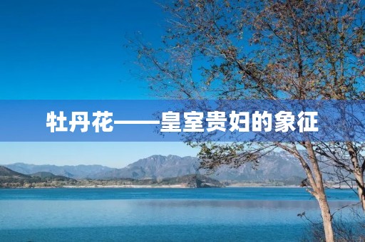 牡丹花——皇室贵妇的象征 牡丹花——皇室贵妇的象征