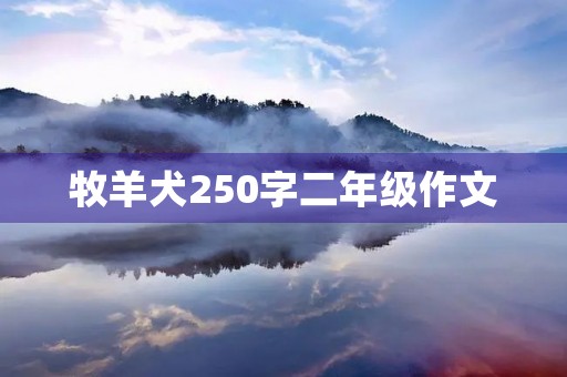 牧羊犬250字二年级作文