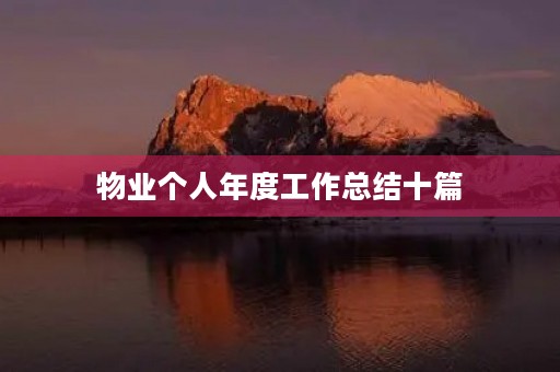 物业个人年度工作总结十篇