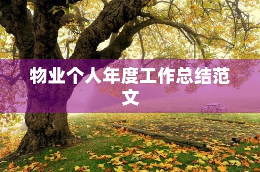 物业个人年度工作总结范文