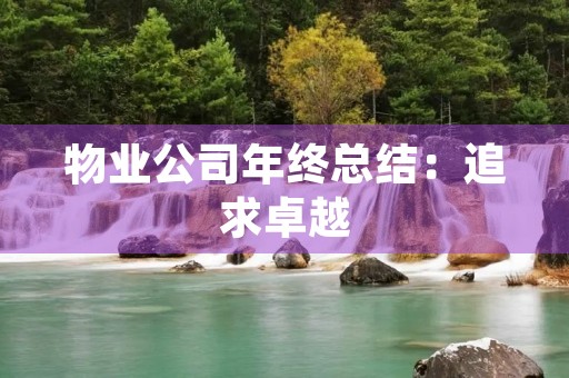 物业公司年终总结：追求卓越，稳健前行