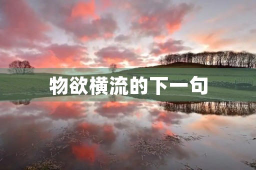 物欲横流的下一句,物欲横流的下一句怎么说 物欲横流的下一句,物欲横流的下一句怎么说