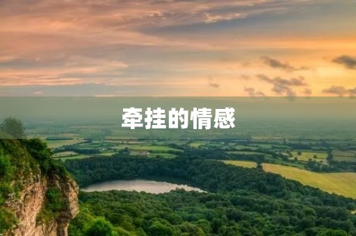牵挂的情感 牵挂的情感