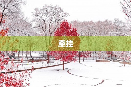 牵挂,一份无法割舍的情感 牵挂,一份无法割舍的情感