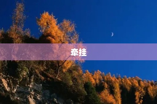 牵挂,心连心 牵挂,心连心