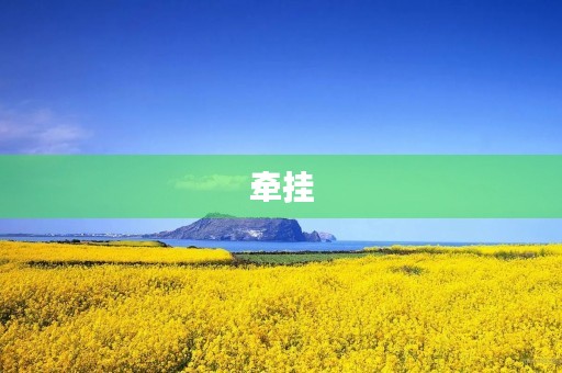 牵挂，真情的呈现