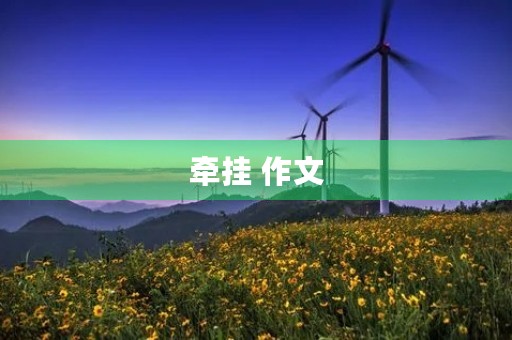 牵挂 作文