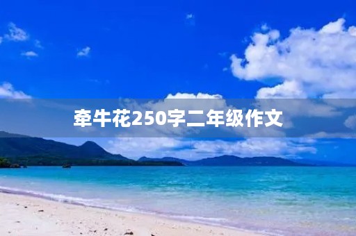 牵牛花250字二年级作文 牵牛花250字二年级作文