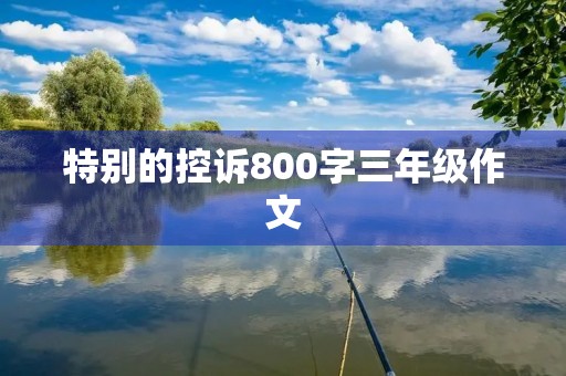 特别的控诉800字三年级作文