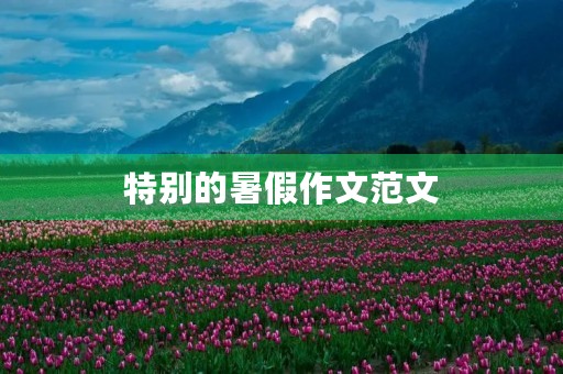 特别的暑假作文范文