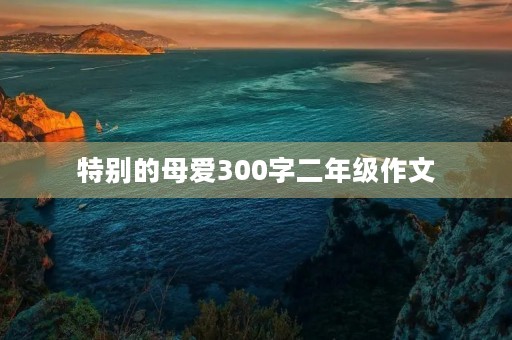 特别的母爱300字二年级作文