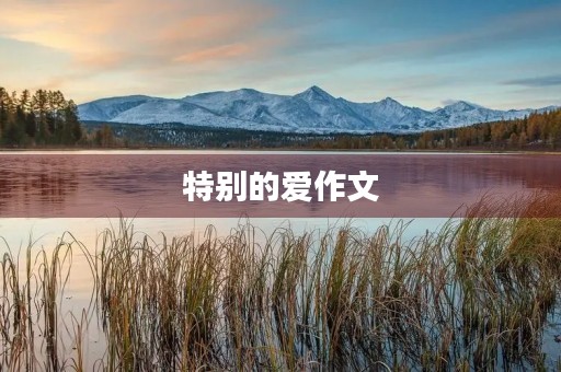 特别的爱作文 特别的爱作文