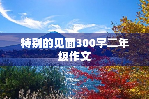 特别的见面300字二年级作文