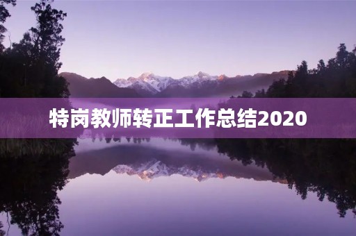 特岗教师转正工作总结2020
