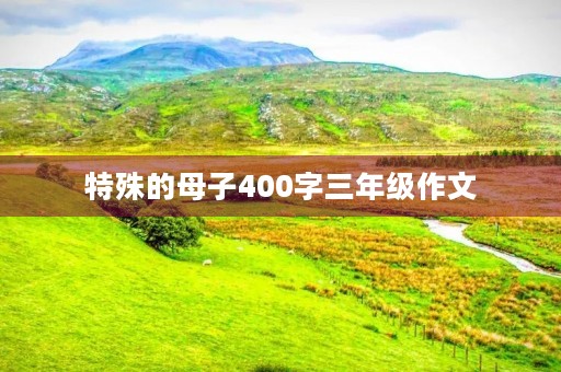 特殊的母子400字三年级作文 特殊的母子400字三年级作文