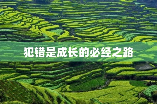 犯错是成长的必经之路