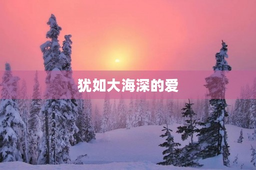 犹如大海深的爱 犹如大海深的爱