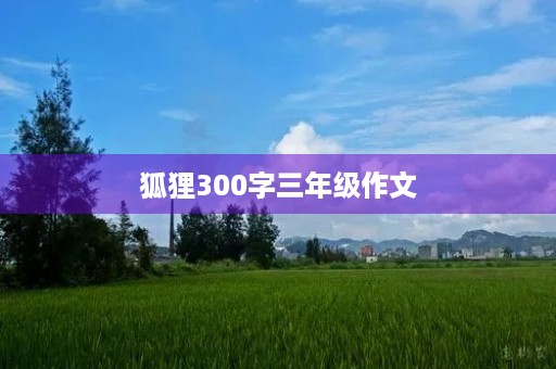 狐狸300字三年级作文