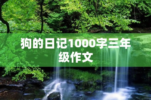 狗的日记1000字三年级作文