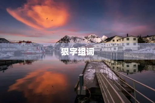 狠字组词(狠组词有哪些)