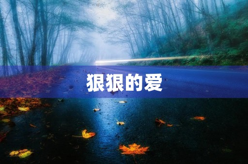 狠狠的爱