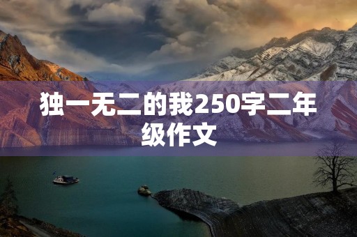 独一无二的我250字二年级作文