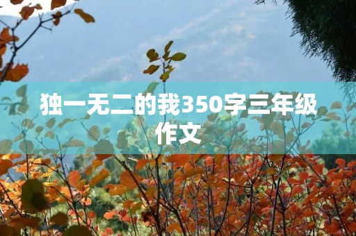 独一无二的我350字三年级作文