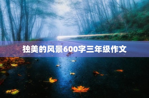 独美的风景600字三年级作文 独美的风景600字三年级作文