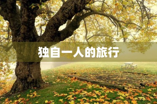 独自一人的旅行 独自一人的旅行