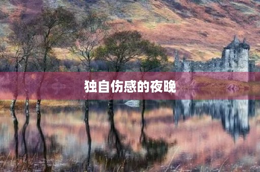 独自伤感的夜晚
