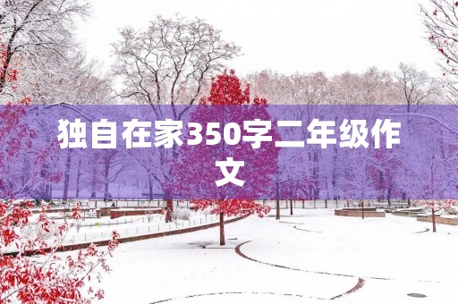 独自在家350字二年级作文