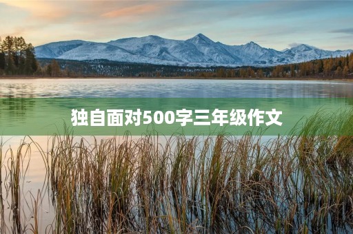 独自面对500字三年级作文