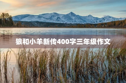 狼和小羊新传400字三年级作文